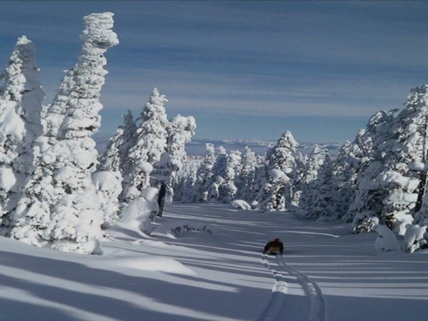 Что такое пороша зимой