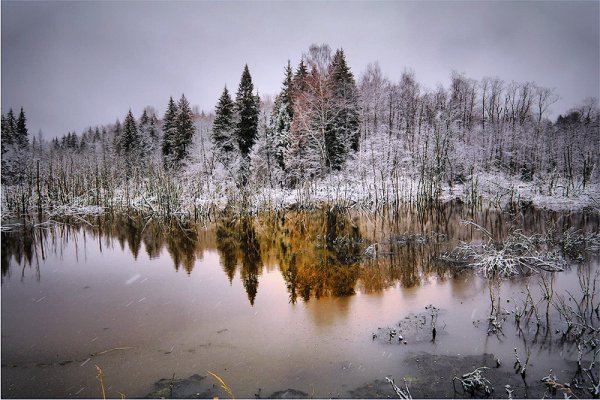 Ноябрьская пороша