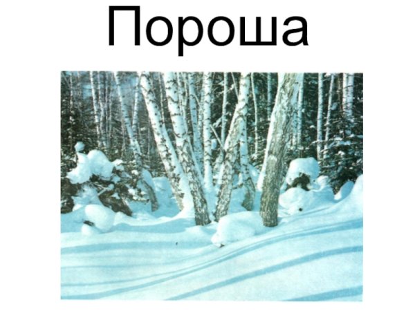 Пороша словарное слово