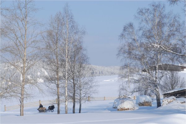 Иллюстрация к стихотворению мелколесье степь и дали