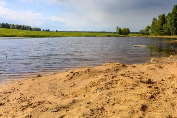 Пруд Пески деревня Взметнево