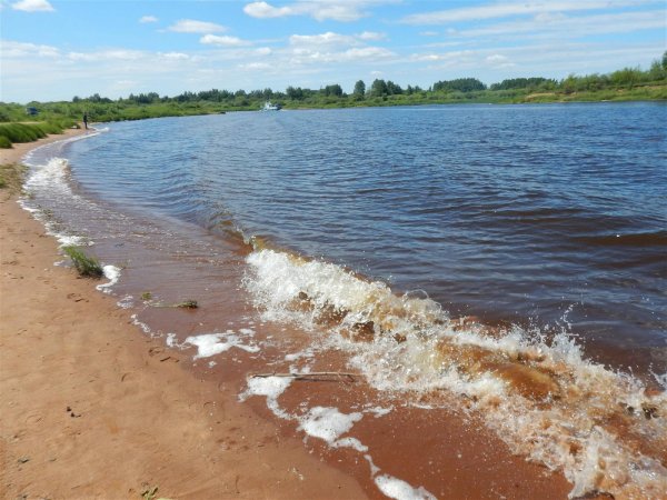 Волга Ульяновск река пляж