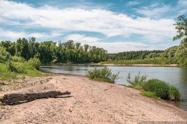 Сим Архангельский район река