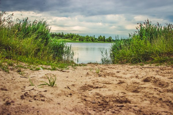 Ольшанские карьеры Смоленск