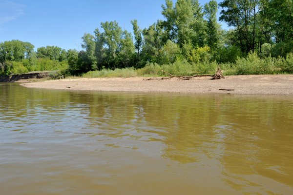 Оренбург пляж на реке Урал