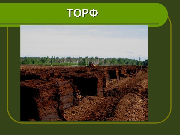 Торф в природе