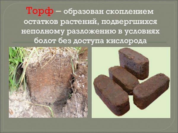 Полезные ископаемые торф