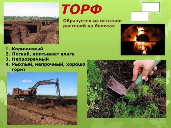 Полезные ископаемые торфяники