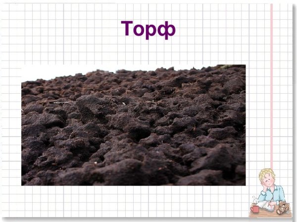 Полезные ископаемые торф
