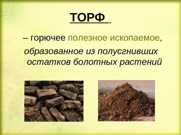 Горючие полезные ископаемые торф