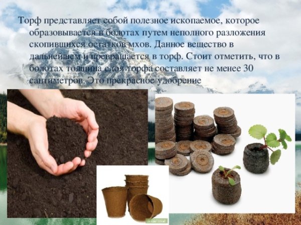 Полезные ископаемые торф