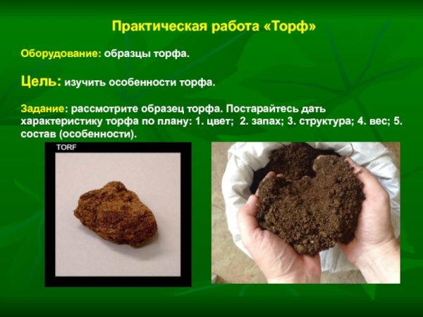 Торф презентация