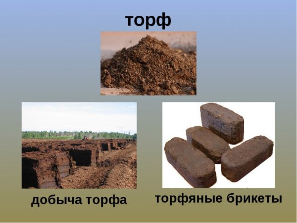 Полезные ископаемые торф