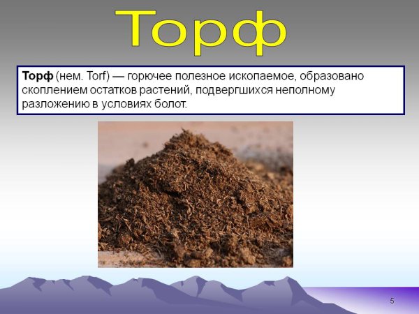Полезные ископаемые торф
