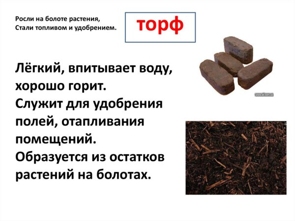 Информация о торфе