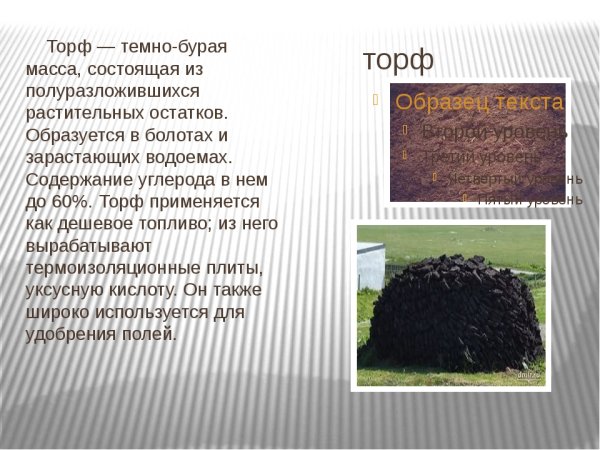 Проект на тему торф