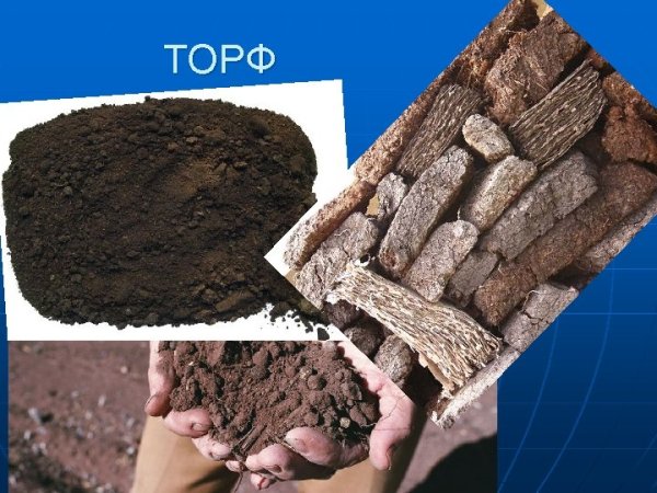 Полезные ископаемые в Удмуртии торф
