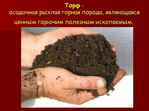 Торф слайд