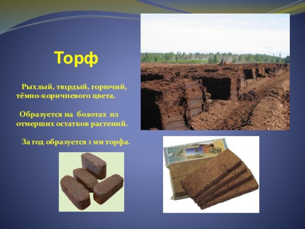 Образование торфа