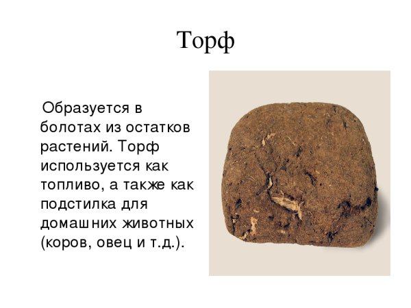 Полезные ископаемые 3 класс окружающий мир торф