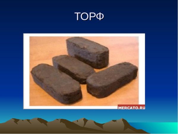 Торф презентация