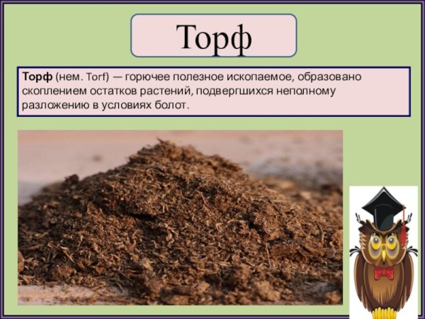 Торф горючее ископаемое
