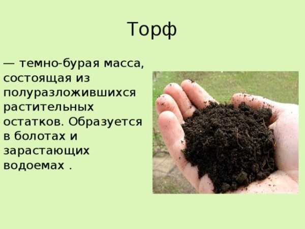 Торф рисунок для детей