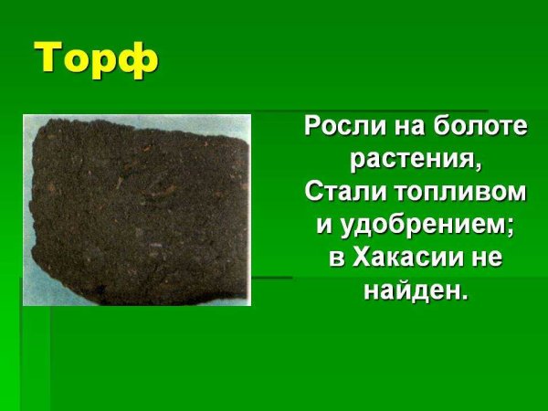Торф для дошкольников
