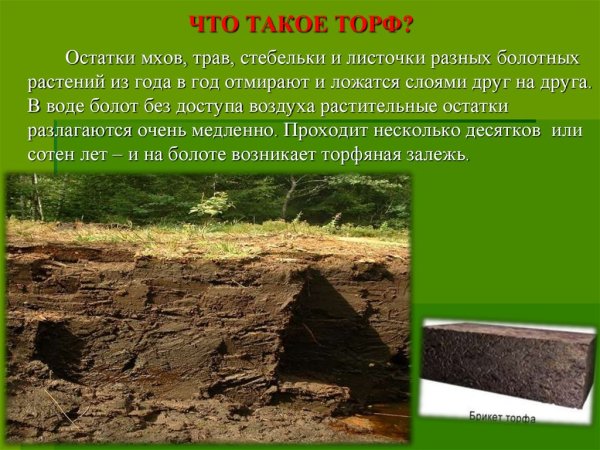 Торф для дошкольников