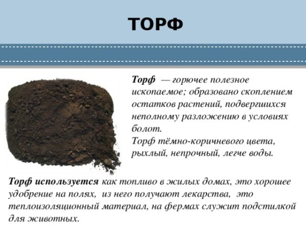 Доклад окружающий мир 4 класс о полезном ископаемом торф
