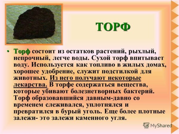 Торф описание