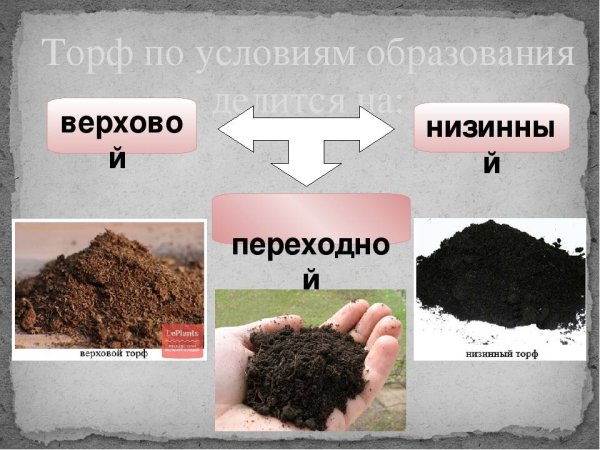 Виды торфа