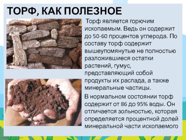 Полезные ископаемые торф