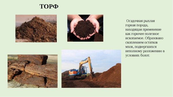Торф осадочная Горная
