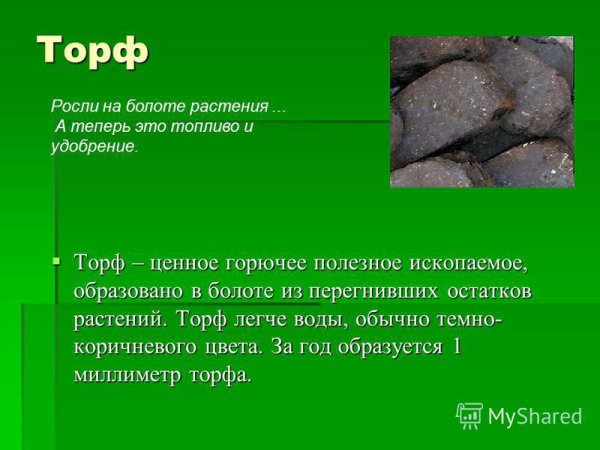 Торф ископаемое