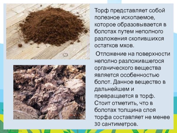 Полезные ископаемые торф