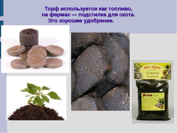 Торф полезное ископаемое