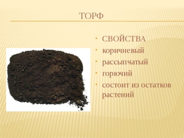 Торф горючий