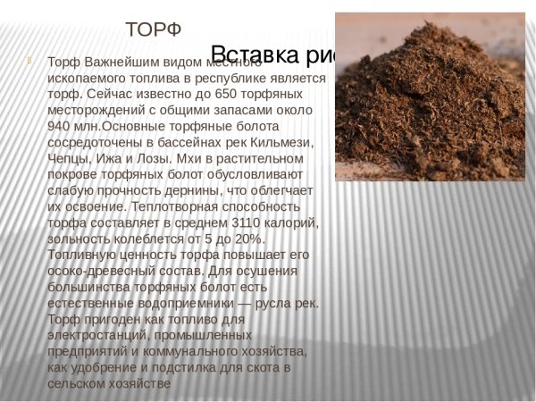 Торф полезное ископаемое