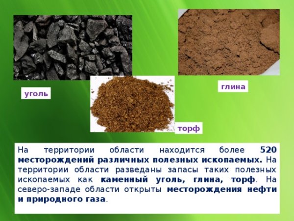 Торф полезное ископаемое Новосибирской области
