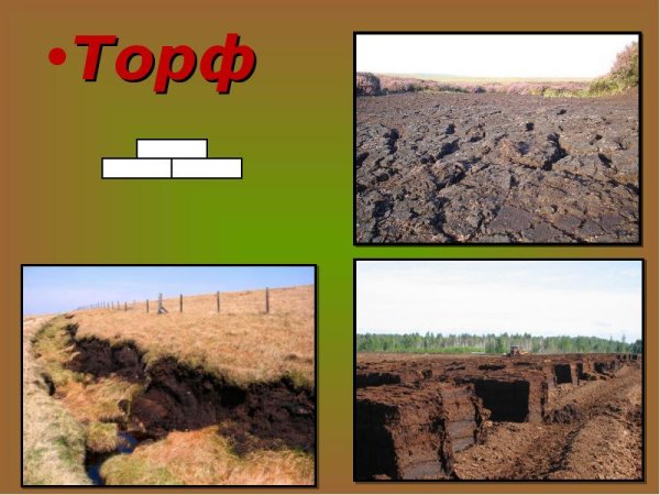 Торф 4 класс