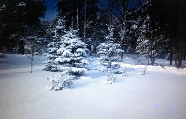 Снеговая Поляна