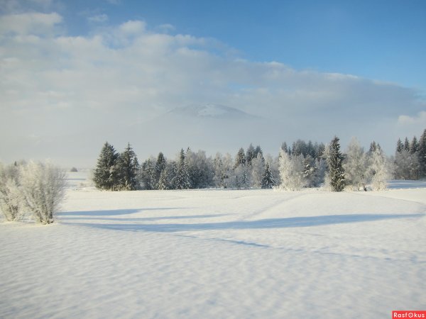 Зимняя Полянка