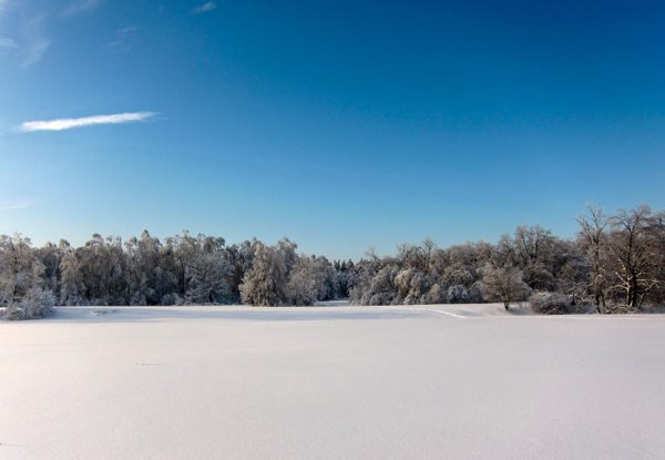 Снег Поляна