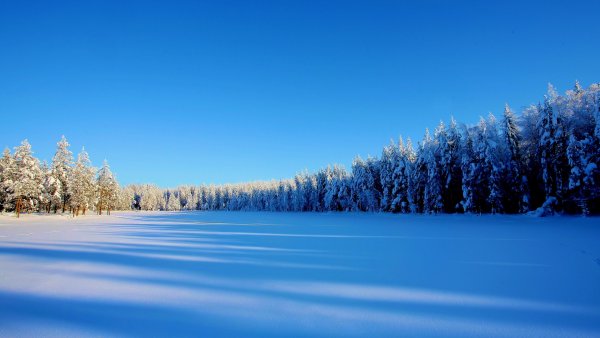 Зимняя Полянка