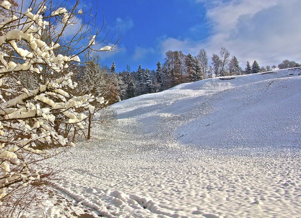 Снежная Поляна