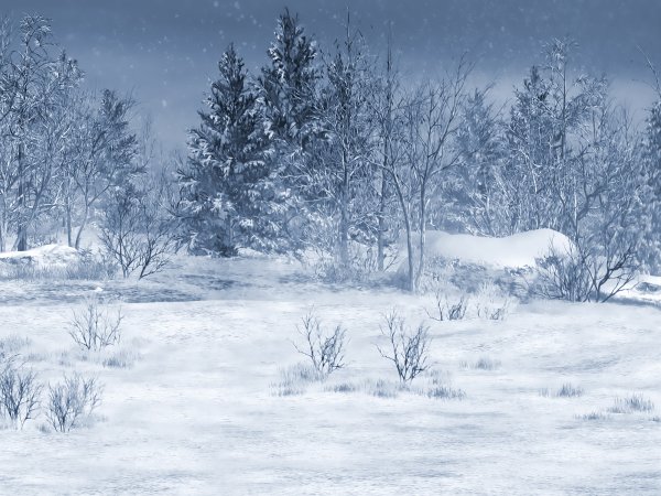 Снег Поляна