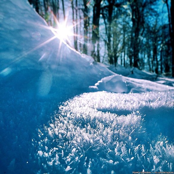 Снег на Поляне