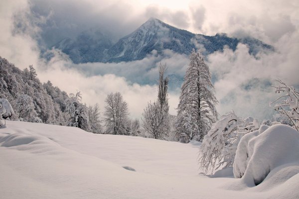 Красная Поляна Сочи снежные горы