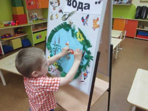 Занятие по экологии в ДОУ